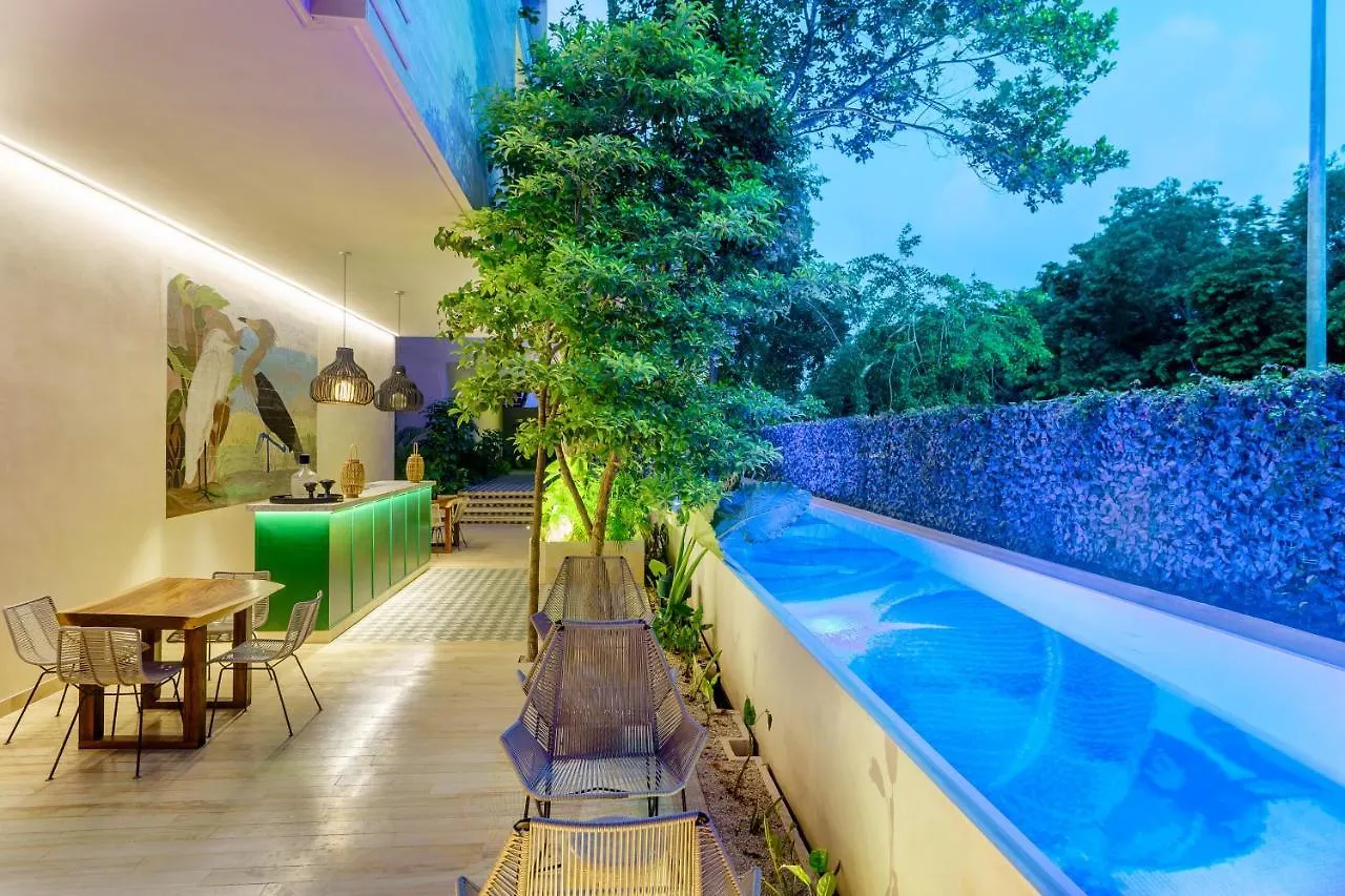 201 Beautiful Apartment With Private Pool Tulum Mexico