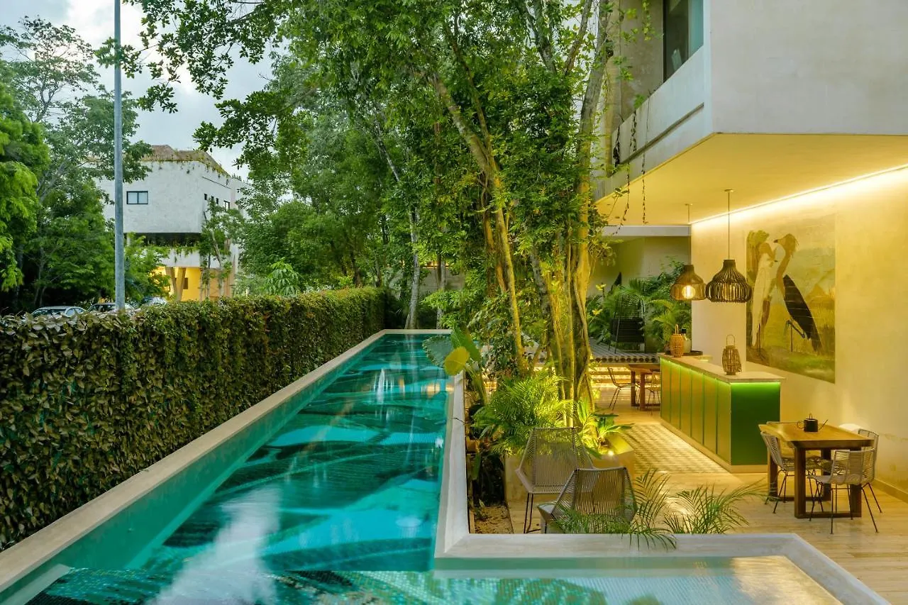 201 Beautiful Apartment With Private Pool Tulum