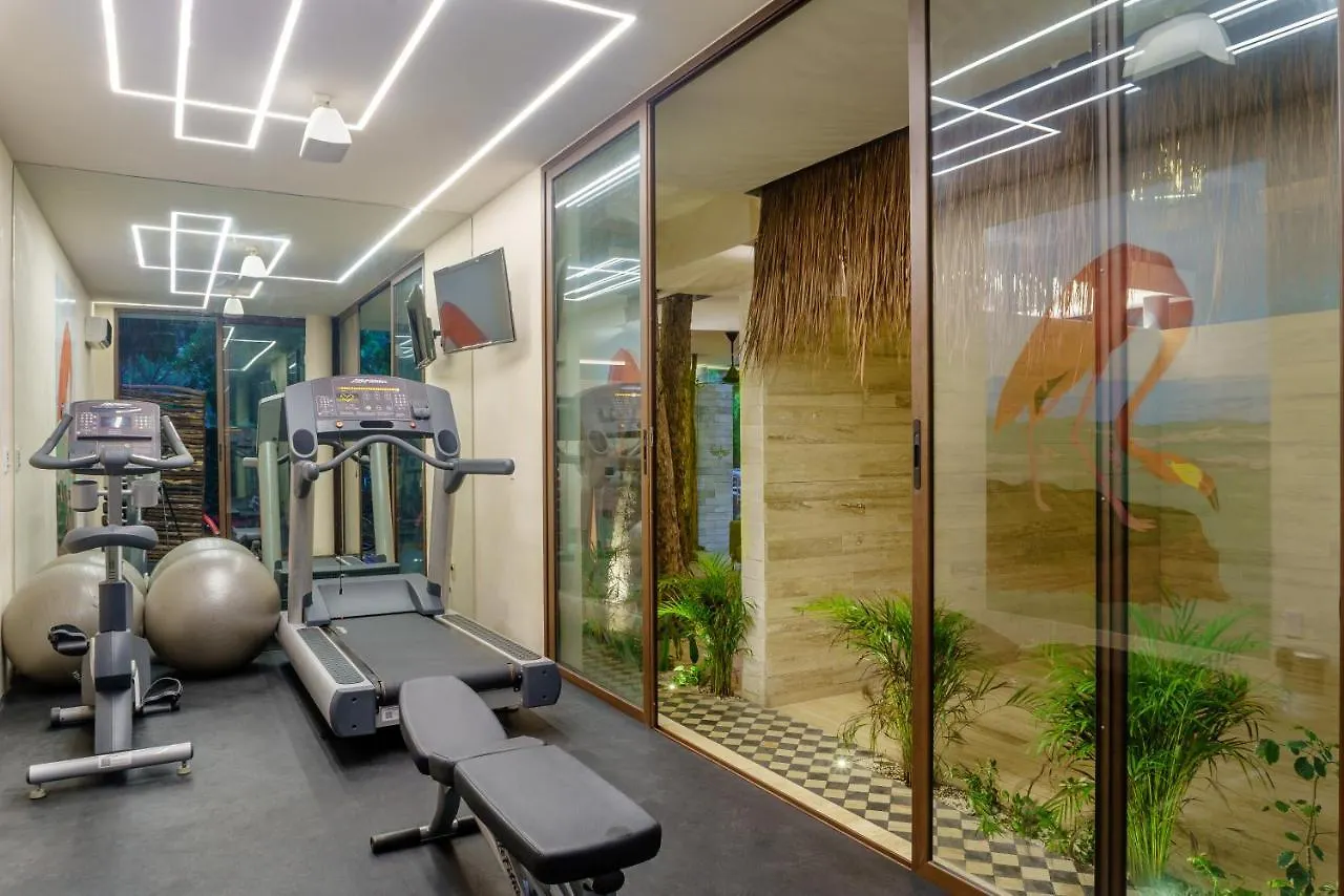 201 Beautiful Apartment With Private Pool Tulum
